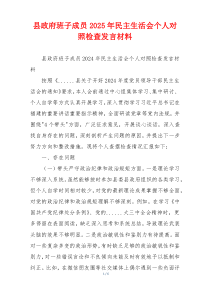县政府班子成员2025年民主生活会个人对照检查发言材料