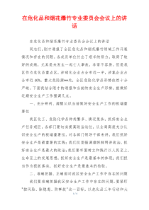在危化品和烟花爆竹专业委员会会议上的讲话