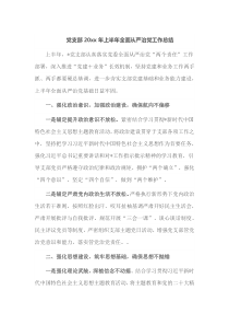 党支部20XX年上半年全面从严治党工作总结