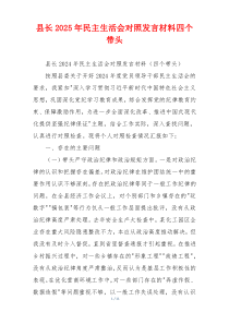 县长2025年民主生活会对照发言材料四个带头