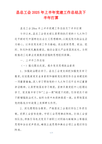 县总工会2025年上半年党建工作总结及下半年打算
