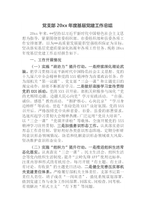 党支部20XX年度基层党建工作总结