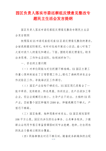园区负责人落实市委巡察组反馈意见整改专题民主生活会发言提纲