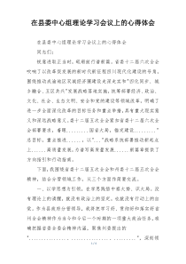 在县委中心组理论学习会议上的心得体会
