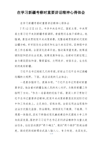 在学习新疆考察时重要讲话精神心得体会