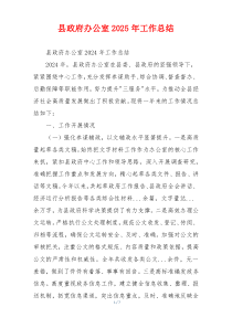 县政府办公室2025年工作总结