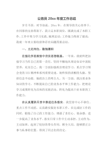 公务员20XX年度工作总结