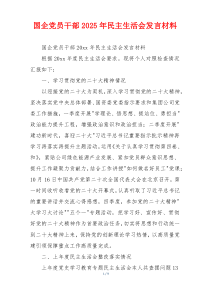 国企党员干部2025年民主生活会发言材料