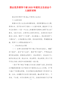 国企党员领导干部2025年度民主生活会个人剖析材料