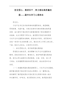 坚定信心真抓实干努力推动高质量发展副市长学习心得体会
