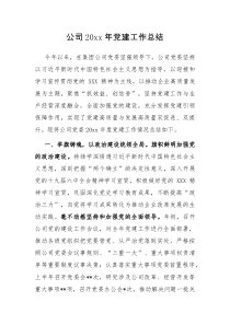公司20XX年党建工作总结
