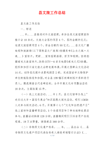 县文旅工作总结