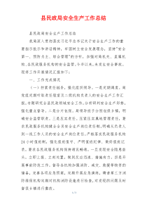 县民政局安全生产工作总结