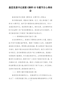 基层党委书记观看《榜样9》专题节目心得体会