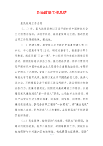 县民政局工作总结