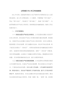 公司党委20XX年工作总结报告