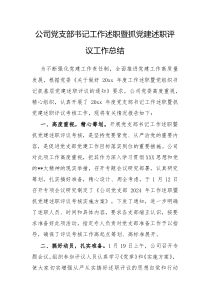 公司党支部书记工作述职暨抓党建述职评议工作总结docx