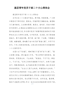 基层青年党员干部二十大心得体会