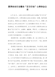夏季治安打击整治“百日行动”心得体会公安