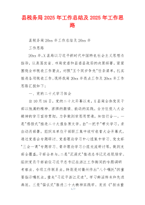 县税务局2025年工作总结及2025年工作思路