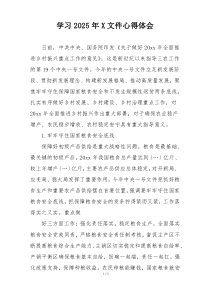 学习2025年X文件心得体会