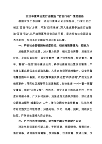 2025年夏季治安打击整治“百日行动”情况报告精选（共6篇）