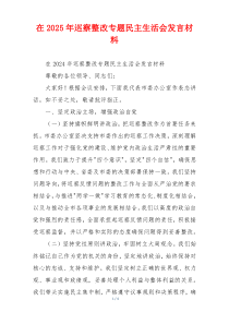 在2025年巡察整改专题民主生活会发言材料