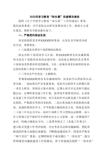 2025年学习教育“回头看”自查情况报告（精选7例）
