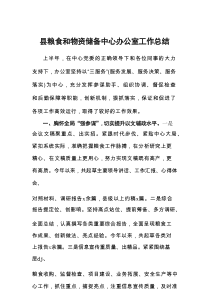 县粮食和物资储备中心办公室工作总结