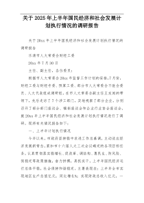 关于2025年上半年国民经济和社会发展计划执行情况的调研报告