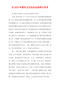 在2025年度民主生活会会前研讨发言