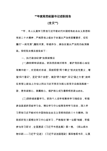 202x年度局党组副书记述职报告