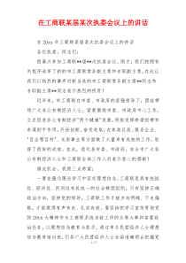 在工商联某届某次执委会议上的讲话