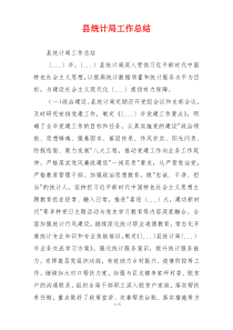 县统计局工作总结