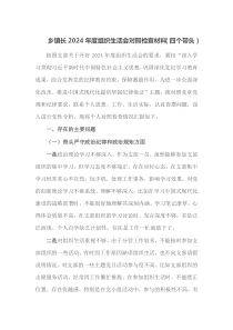 乡镇长2025年度组织生活会对照检查材料四个带头