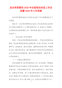 县自然资源局2025年全面依法治县工作总结暨2025年工作思路