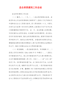 县自然资源局工作总结
