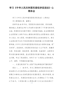 学习《中华人民共和国民营经济促进法》心得体会