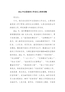20XX年全县组织工作会议上的讲话稿