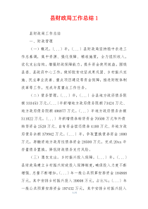 县财政局工作总结1