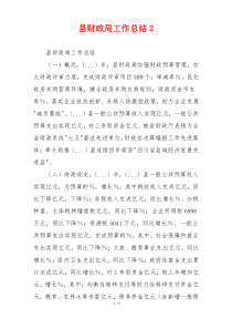 县财政局工作总结2
