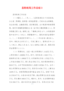 县财政局工作总结3