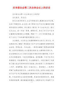 在市委全会第二次全体会议上的讲话