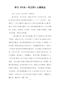 学习《中央一号文件》心得体会