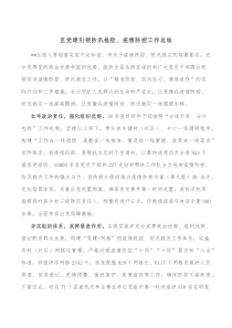 区党建引领防汛抢险疫情防控工作总结