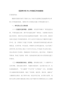 区县审计局20XX年党建工作总结报告