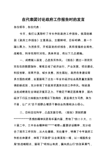 在代表团讨论政府工作报告时的发言