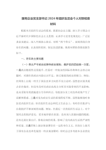 国有企业党支部书记2025年组织生活会个人对照检查材料