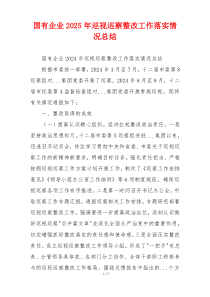 国有企业2025年巡视巡察整改工作落实情况总结
