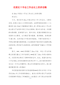 在度红十字会工作会议上的讲话稿